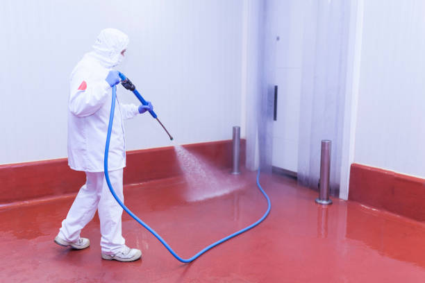 Best Soft Washing  in Laporte, CO